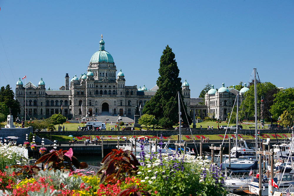 Local markets and artisan tours