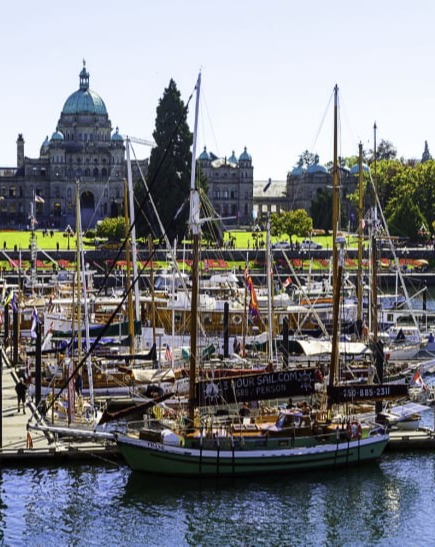 Excursion packages tailored to tourists hop-on hop-off tours