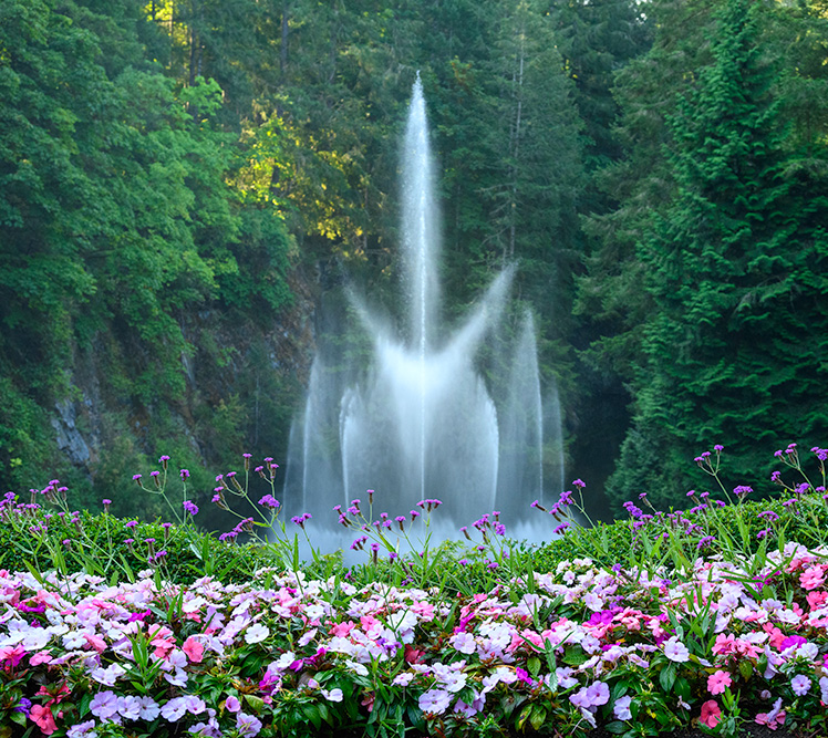 Outdoor activities in Tasting tours with sightseeing elements BC