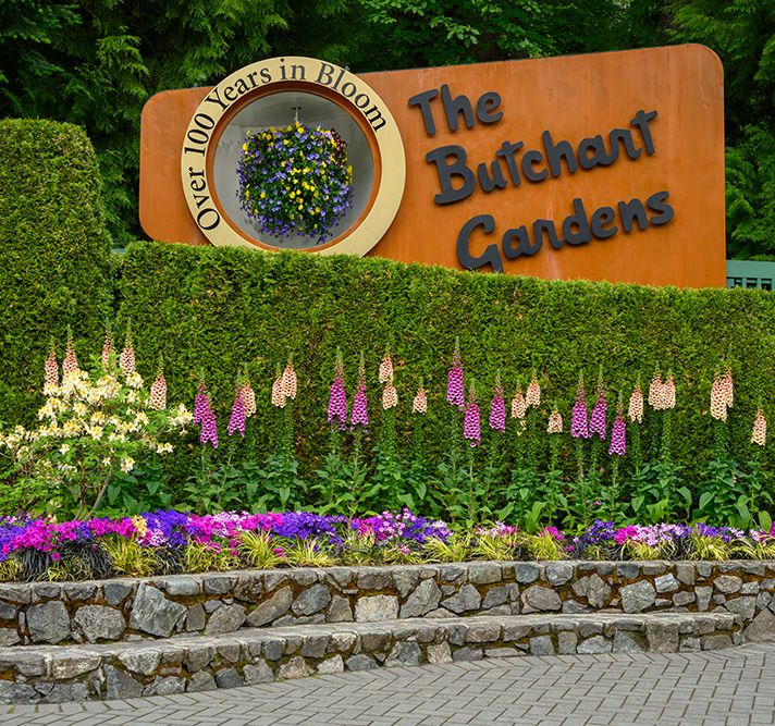 Best Tours In Mountain and valley scenic drives BC