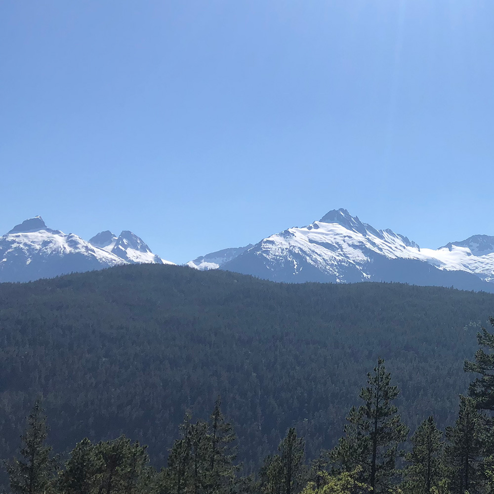 Tour Company Reviews Whistler