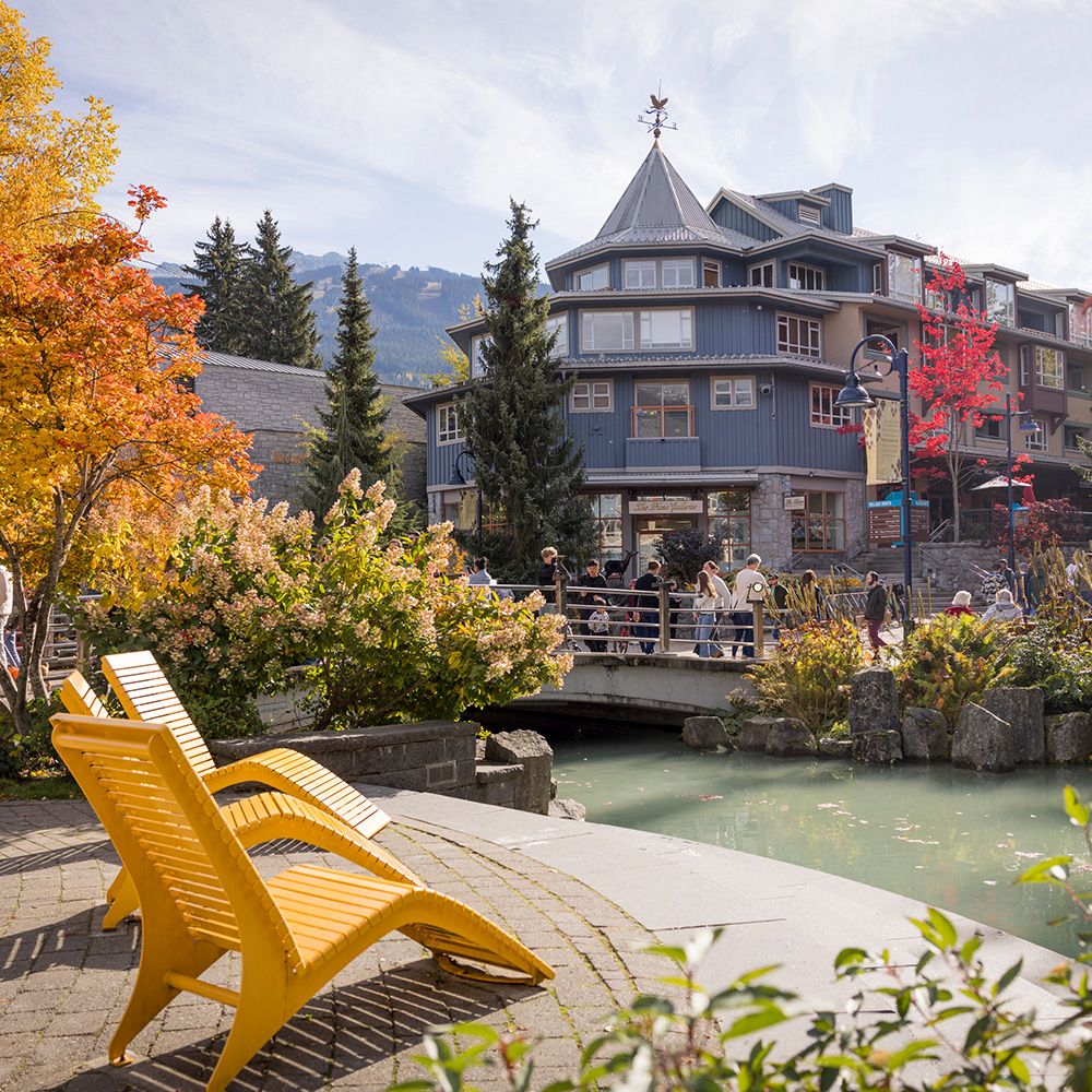 Whistler and Sea to Sky Viewpoint Tour